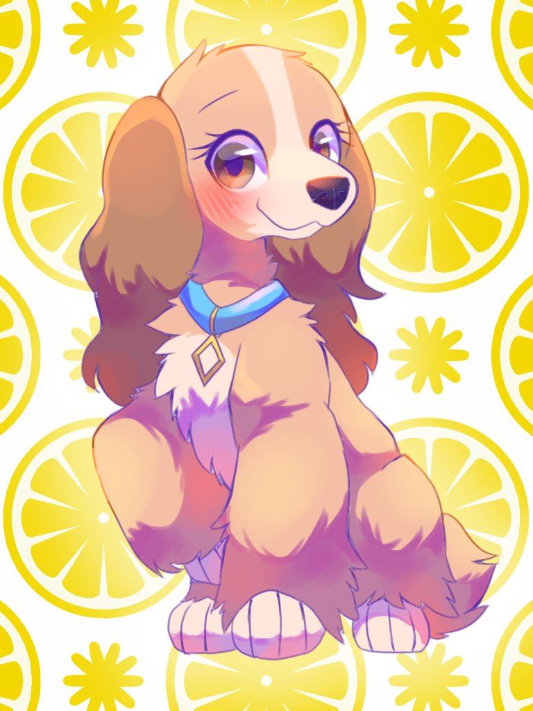 くるるんぴ わんわん物語のレディちゃん 美犬 T Co Qpylrblghw Twitter くるるんぴ わんわん物語のレディちゃん 美犬 T Co Qpylrblghw Twitter