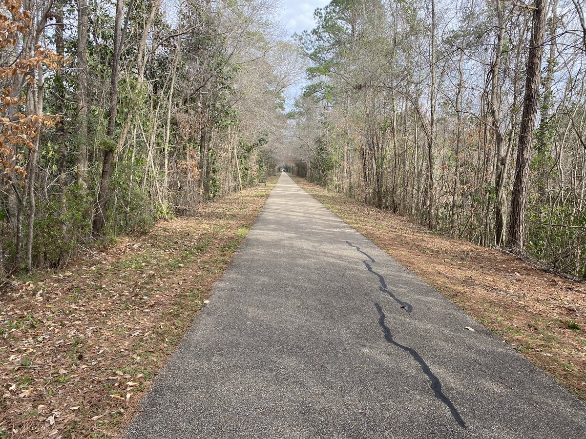 courtneyannj's tweet photo. What a fun day trip to the Hub City! Enjoyed great food, biking on the Longleaf Trace Trail and exploring downtown. Already looking forward to going back to explore more. @toby_barker @robertstjohn #exploreMS #VisitMS https://t.co/ZfxvwugIuB