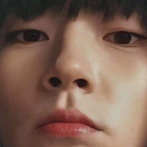 Rose91119's tweet photo. #NewProfilePic https://t.co/D9IMuZpMUR