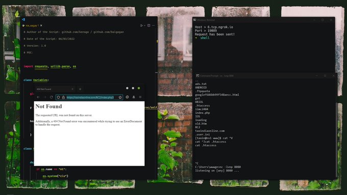 SpiSecurity’s pics and videos