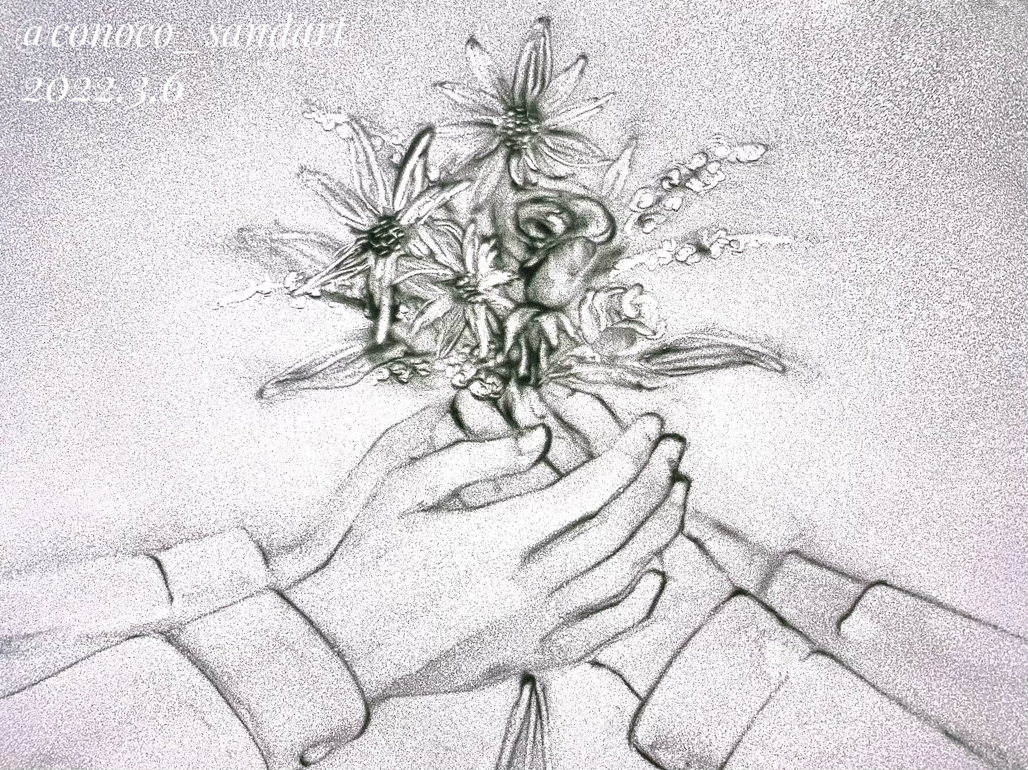 このこ サンドアート Conoco Sandart Twitter