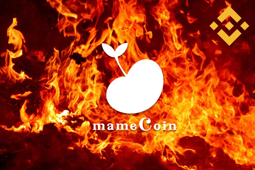 [Accounce] We have burned 20% of mameCoin
blog-en.mamecoin.id/burn-20-percen…
#mameCoin #DeFi #burn #BSC