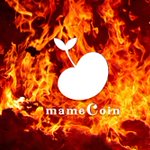 Photo by mameCoin Official (@mamecoin)