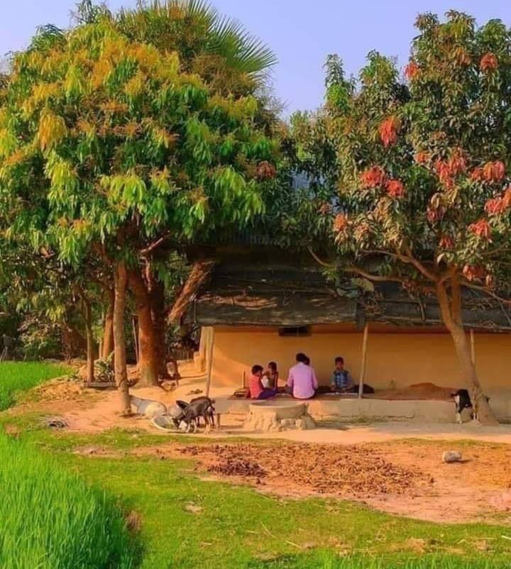 dc_sanjay_jas's tweet photo. जिंदगी बस कैद है शहर के आलीशान मकानों में
असली जिंदगी तो है गांव के खेत और खलिहानों में https://t.co/SecIRqTJqQ
