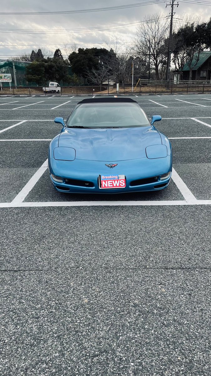 抹茶アイス tweet media