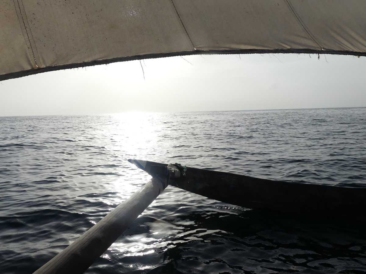 #Dhows of the South Coast of Kenya 

#sailingboats #africansailors #windpower #sailing #traditionalboats #pwani