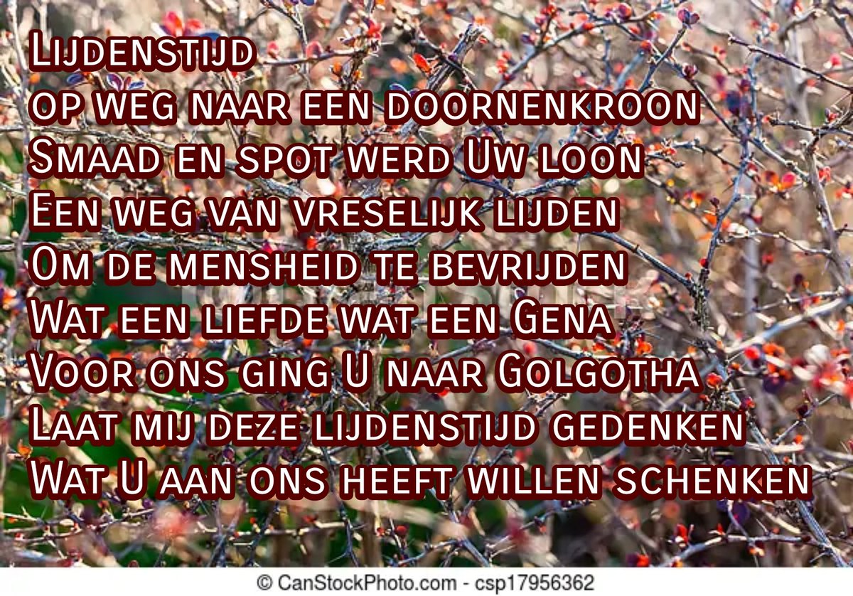 Lijdenstijd
#gedichten #vergeetmijnietjes #ank