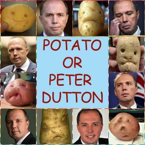 utternonsense's tweet photo. @thesiriusreport Apologies to all good potatoes. You have more worth than this human, and I don't say that lightly! #auspol #moron https://t.co/sJoqbC6n3z