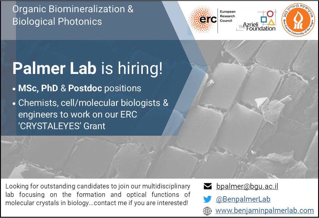 BenpalmerLab tweet picture