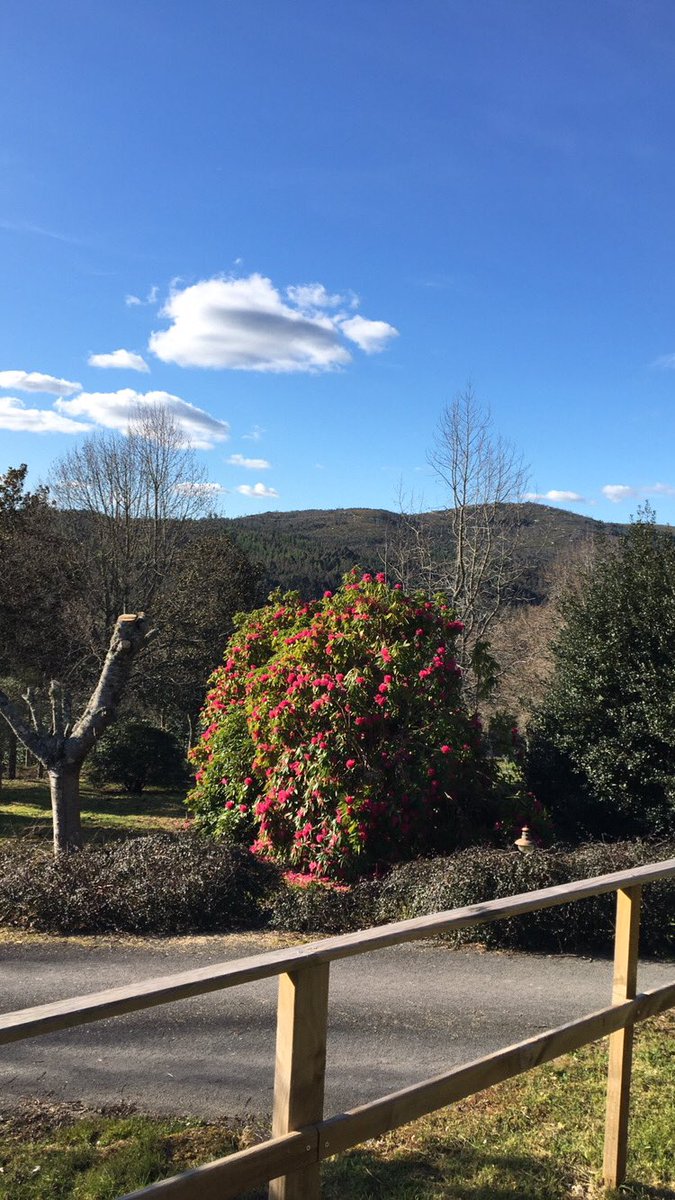 noeliargueznr's tweet photo. Rural life. Fin de semana de desconexión, marzo 2022.
#familytime #findeconamigos #tempodelecer #galiciainterior #galiciacalidade https://t.co/HDcwYY0Ozd