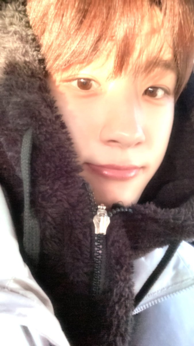 withkmss's tweet photo. 아진짜빤딱공쥬 너무 이쁘다 https://t.co/z5OCKWwkB0