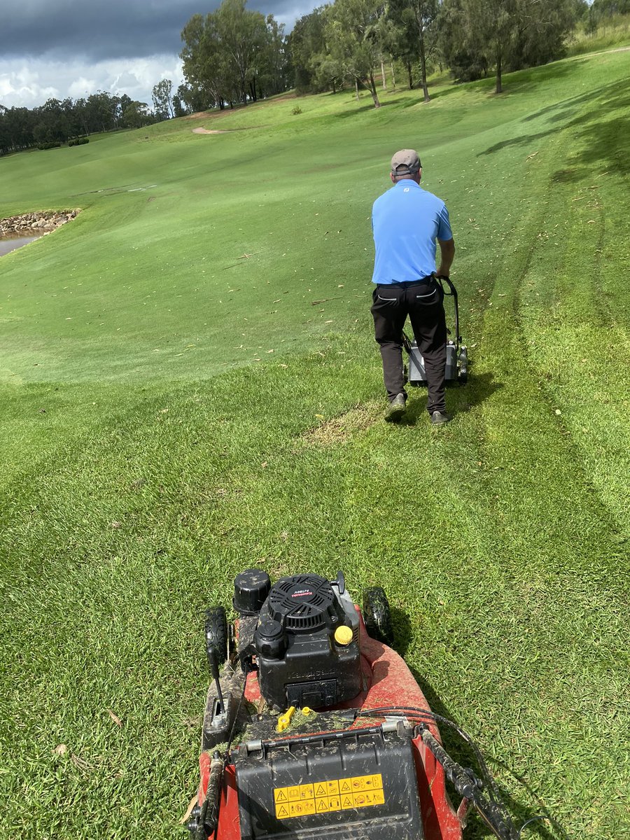 Joshua Willard tweet media