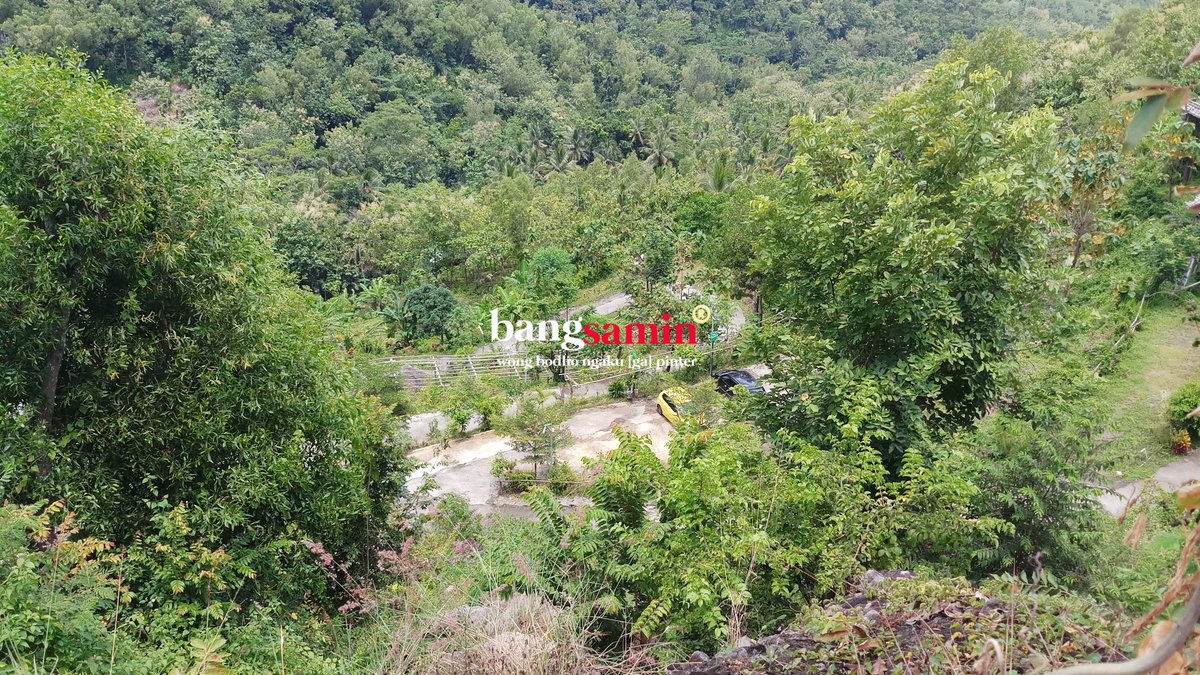 bangsamanja's tweet photo. 8. Spot foto untuk swa foto tersedia beberapa titik, bahkan ada tempat bermalam yang tempatnya asyik banget berada di Puncak Pas Gunung Kuniran #butuhinvestor #obyekwisata https://t.co/V8wXoNZhEG