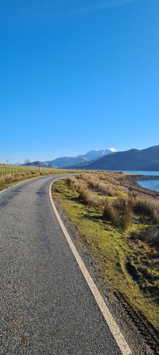 Mary Ann Kennedy tweet media