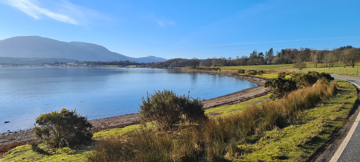 Mary Ann Kennedy tweet media