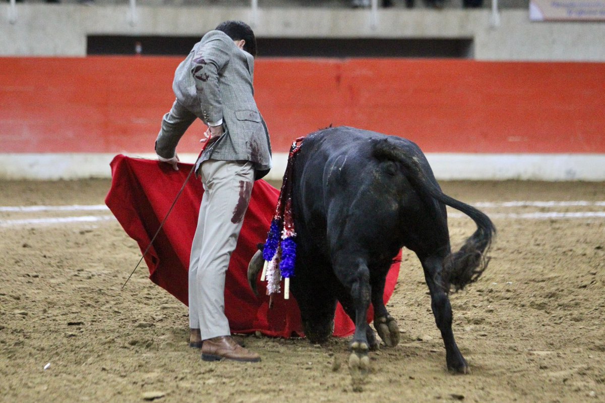 Siempre hay una primera vez, ayer vestido de Gardel en el festival de Puente Piedra. 

Dos orejas y la satisfacción de disfrutar de la gran afición de Colombia 🇨🇴.

Hoy nos vemos de nuevo. 

📸: Manuel del Moral.