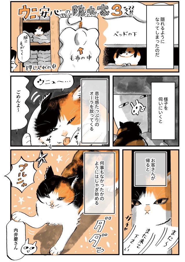 🐟うちの猫は仲が悪い🐟

最新話更新されました!

ふみとうにそれぞれのお客さんへの対応の話です。
全部で6ページ。

猫とお客さん/うちの猫は仲が悪い⑩ | ダ・ヴィンチWeb 
https://t.co/VAT46SnsTe 