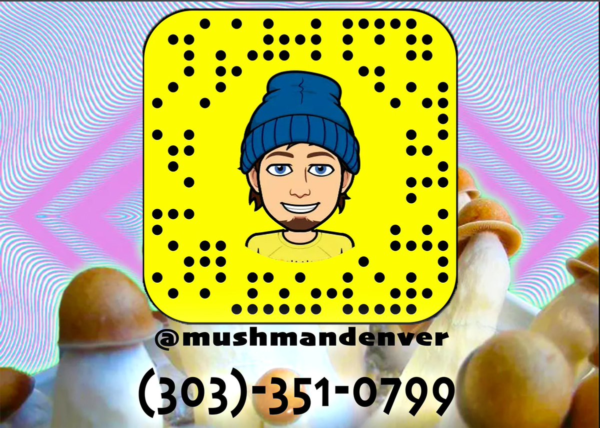 Mushmandenver's tweet photo. https://t.co/lxGuDtUeCC