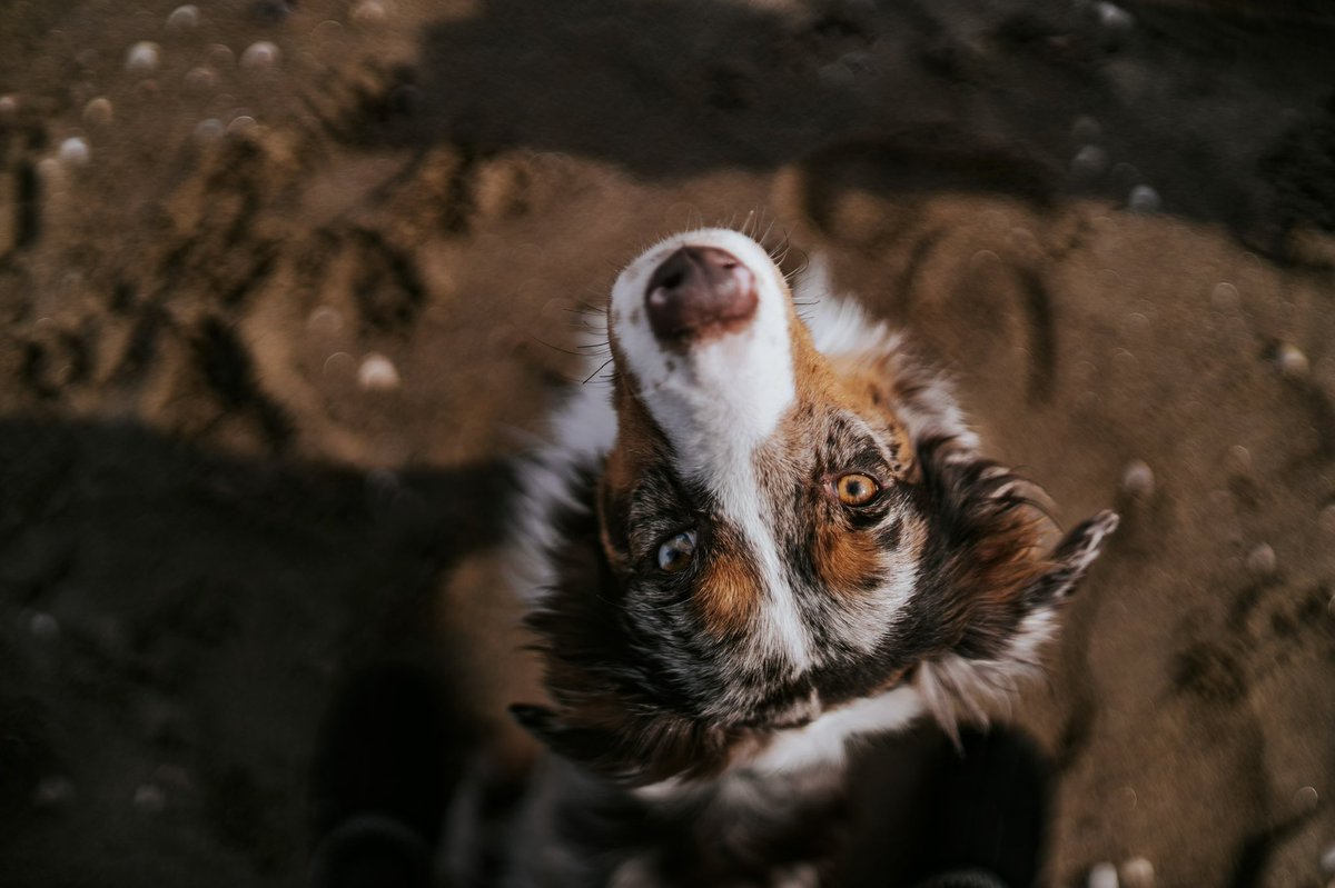 Opie Remy & Melo tweet media