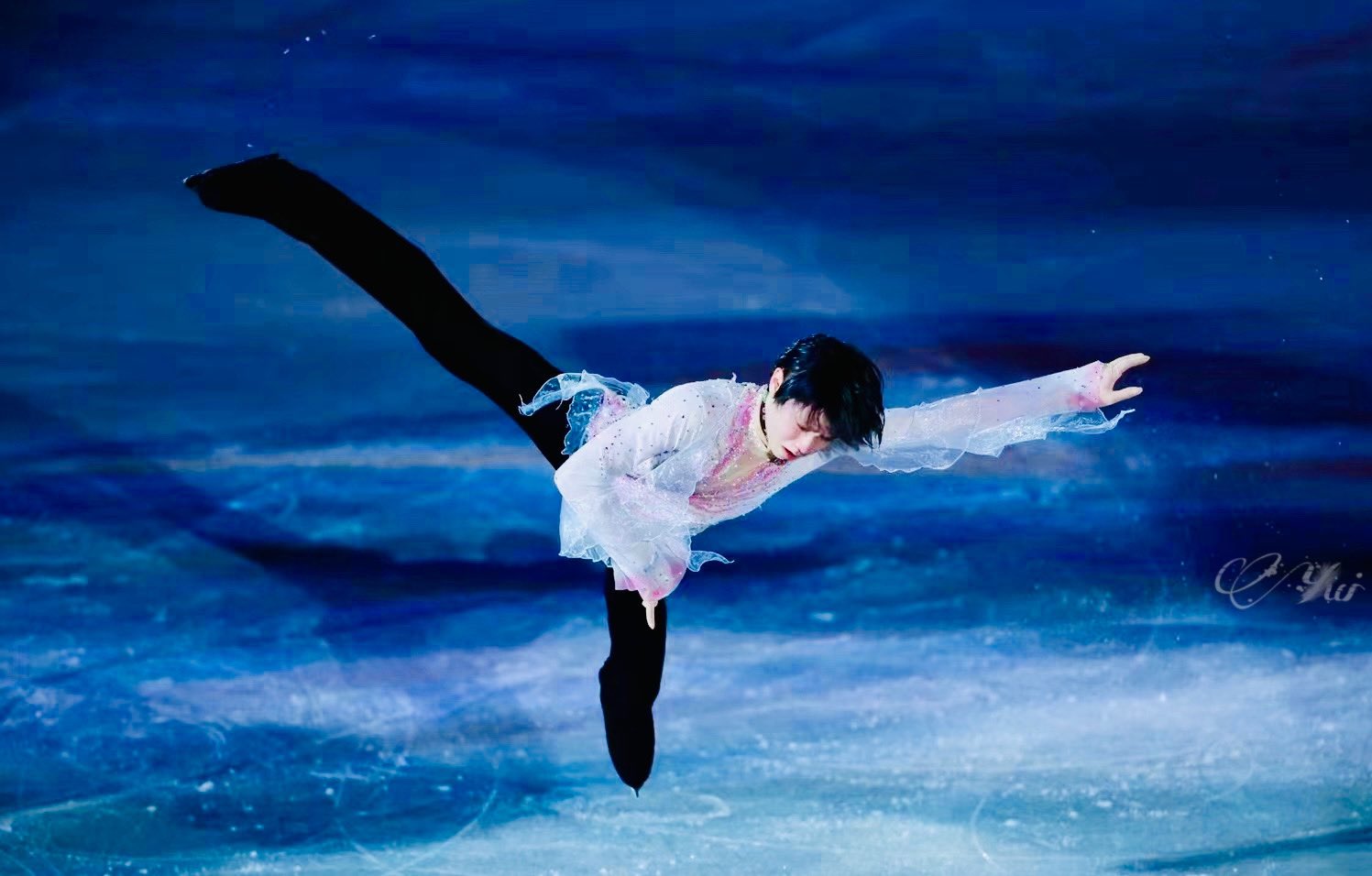 𝕮𝖔𝖗𝖆𝖑 𝖄𝖚𝖎 Yuzuruhanyu𓃵 羽生结弦 Hanyuyuzuru 羽生結弦https T Co Zcxfhhb7e7 Twitter