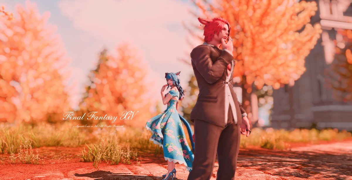 sorairohana's tweet photo. To the someone who once love me #FFXIVScreenshots #GPOSER #XIV_PICTCLIP #NenekoColoR #miqote https://t.co/apXeMI0S24
