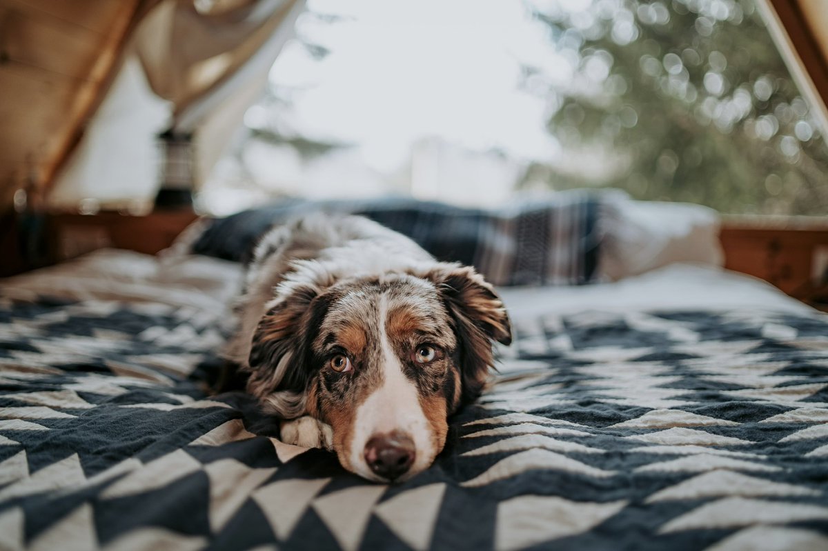 Opie Remy & Melo tweet media