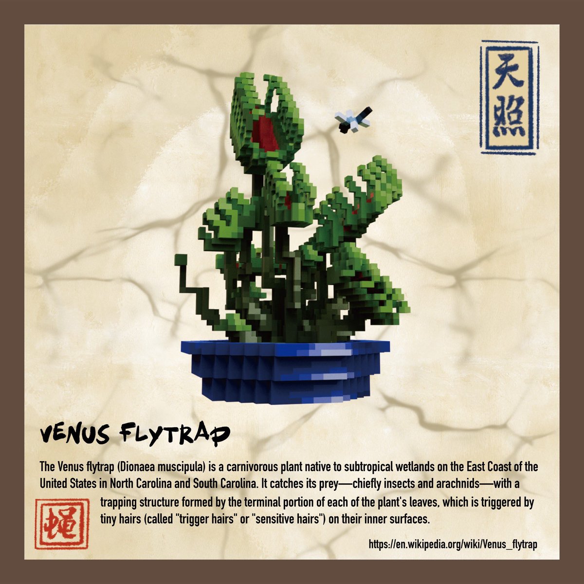 The Cryptobonsai tweet media