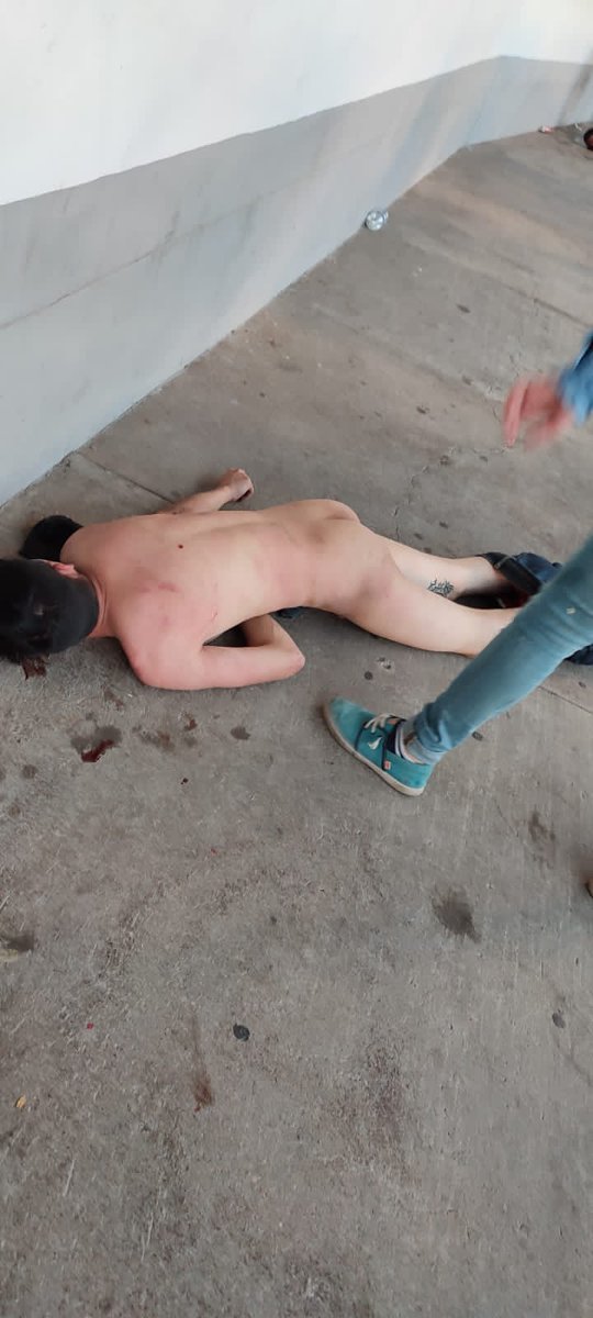 Alejandro Camacho tweet media