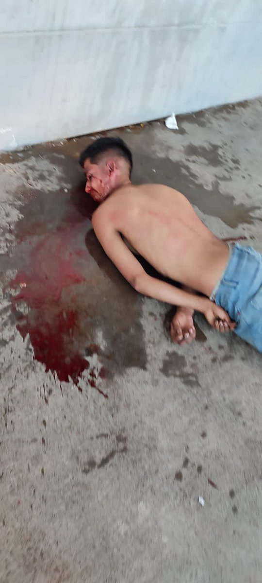 Alejandro Camacho tweet media