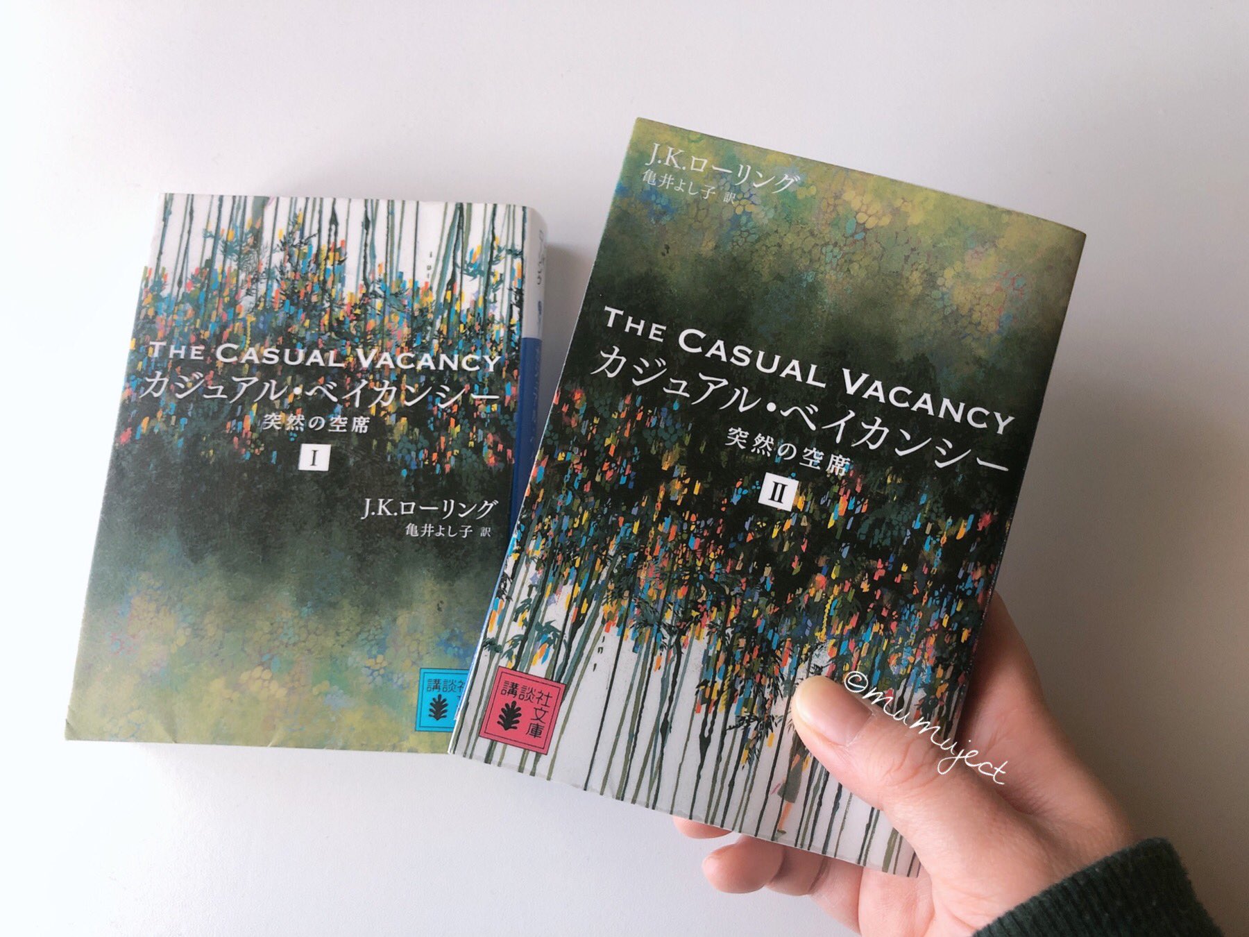 Mumuji 美術と本 J K ローリングさんの カジュアル ベイカンシー 読了 地方自治体の議員バリー フェアブラザーの急死をめぐる 周囲の大人たちとその子供たちの動向が 主人公を入れ替えながら次々と描かれます 桐島 部活やめるってよ の