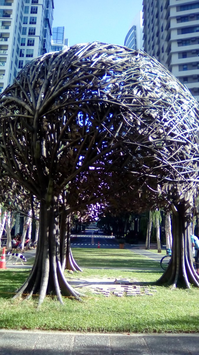 carmenalbaran's tweet photo. Another lovely tree, a poetic movement into the life of things. ~

#BurgosCircle #UrbanJungle #CityScapes #UrbanPhotography #StreetPhotography #PocketsOfBeauty https://t.co/8XFNtLtwW1