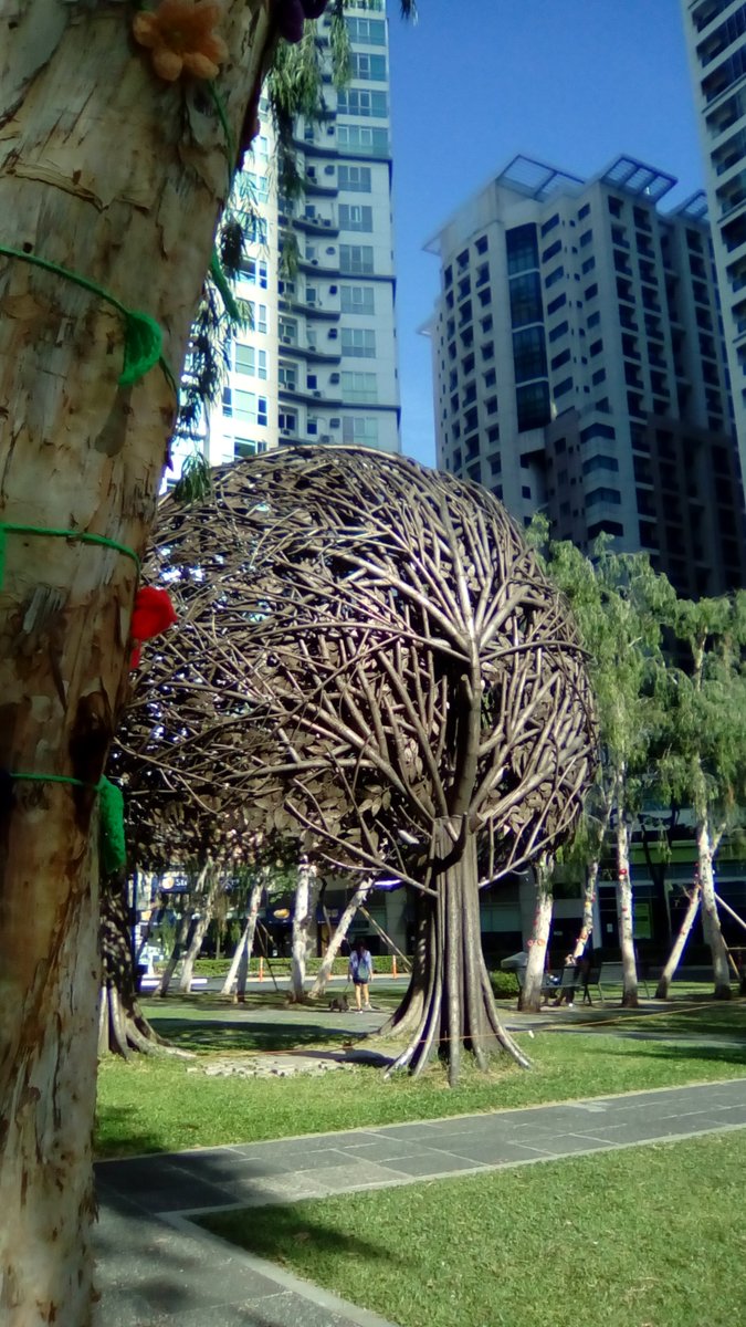 carmenalbaran's tweet photo. Another lovely tree, a poetic movement into the life of things. ~

#BurgosCircle #UrbanJungle #CityScapes #UrbanPhotography #StreetPhotography #PocketsOfBeauty https://t.co/8XFNtLtwW1