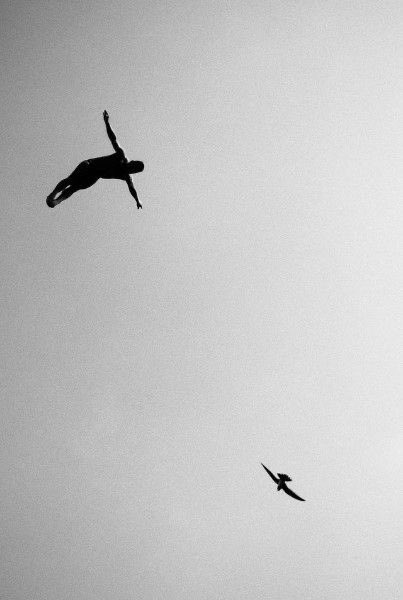 Caro69cr's tweet photo. Aprender a volar exige muchas horas de suelo.
M. Benedetti. https://t.co/J36bbmKSmF