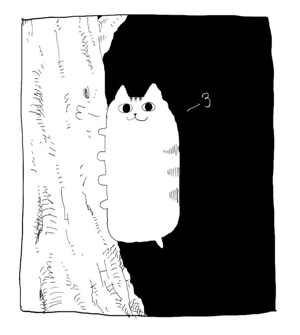 木登り猫 