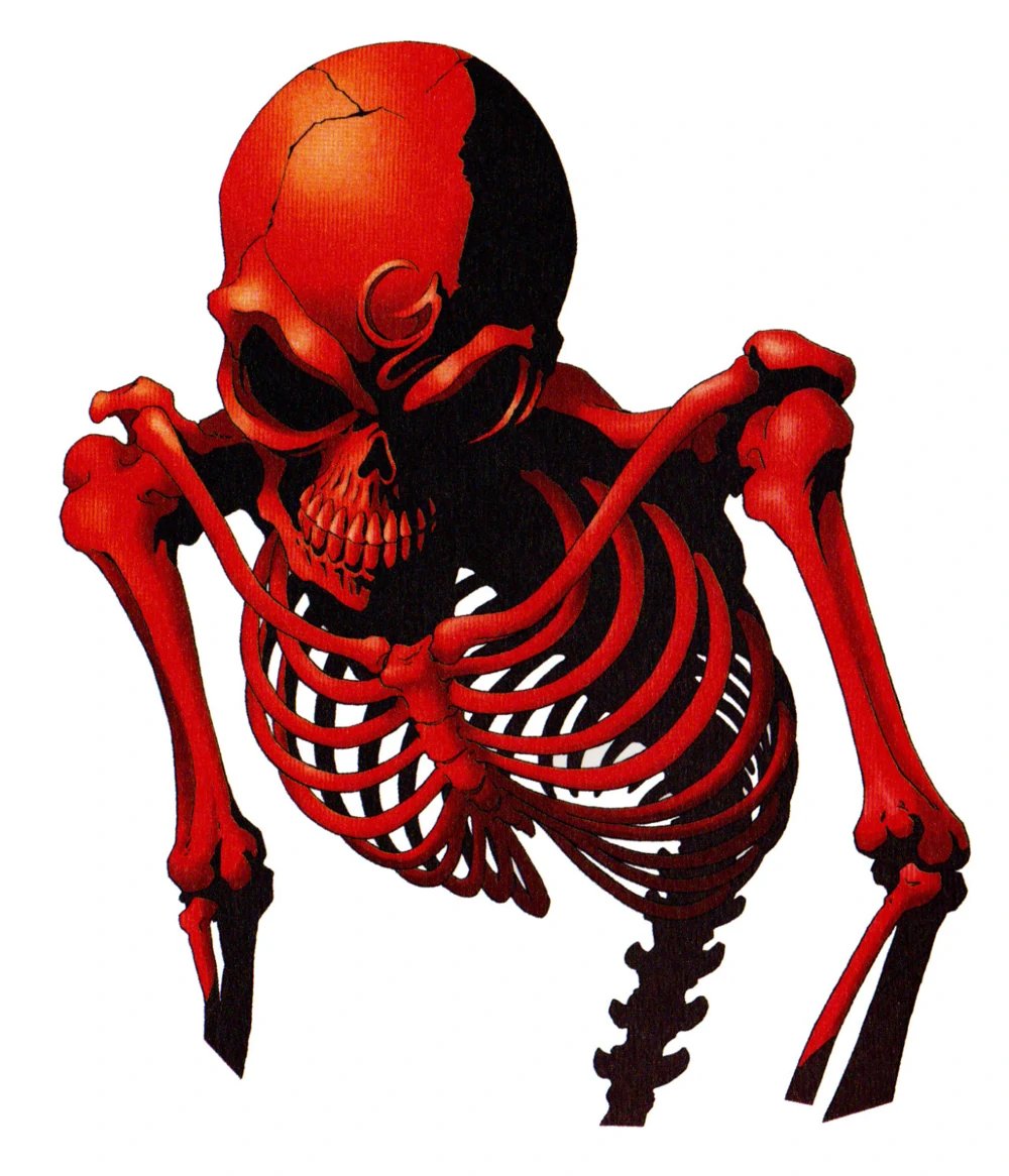 скелет. скелет на прозрачном фоне. кости человека. скелет сидит. Skeleton png.