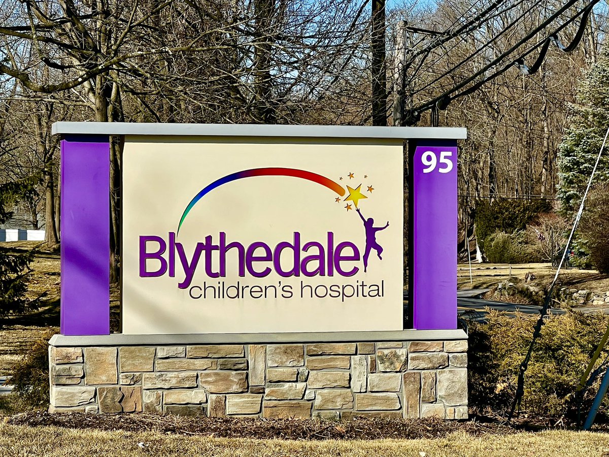 DrKathyFallon's tweet photo. On March 4th, Thrilled that @HPFCharity board members &amp; volunteers donated over 500 toys to @Blythedale Children's Hospital in Valhalla, New York. The Pediatric patients and staff were thrilled with the donations. @LisaSalvadorini @lorinaroco @dgizzi327 @orderofmalta @CNR1904 https://t.co/ySyLt7V01j