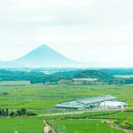 鹿児島 砂むし温泉 指宿白水館(Hakusuikan)のツイート画像