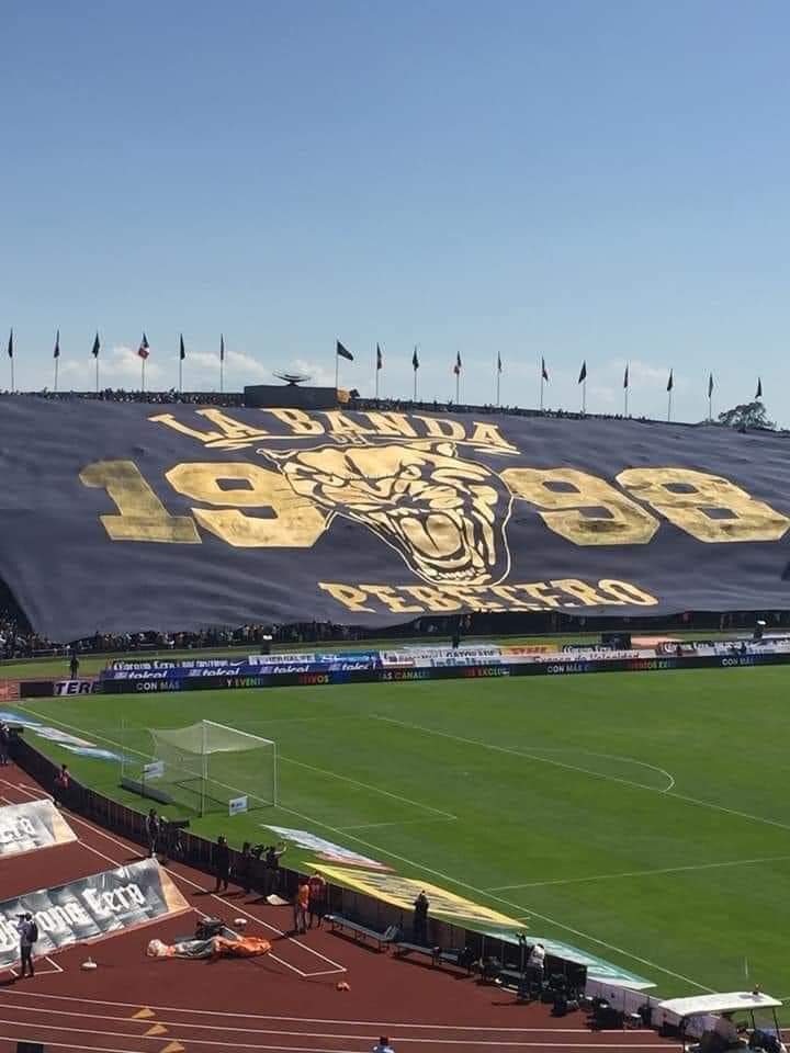 yareeramos's tweet photo. A la tribuna hay que darle color pero que no sea de sangre https://t.co/6RSjXSaz4y