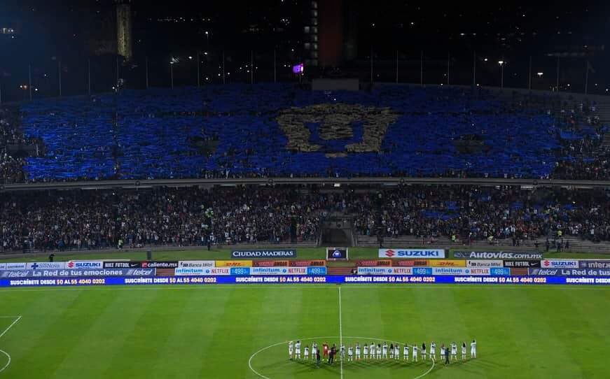 yareeramos's tweet photo. A la tribuna hay que darle color pero que no sea de sangre https://t.co/6RSjXSaz4y