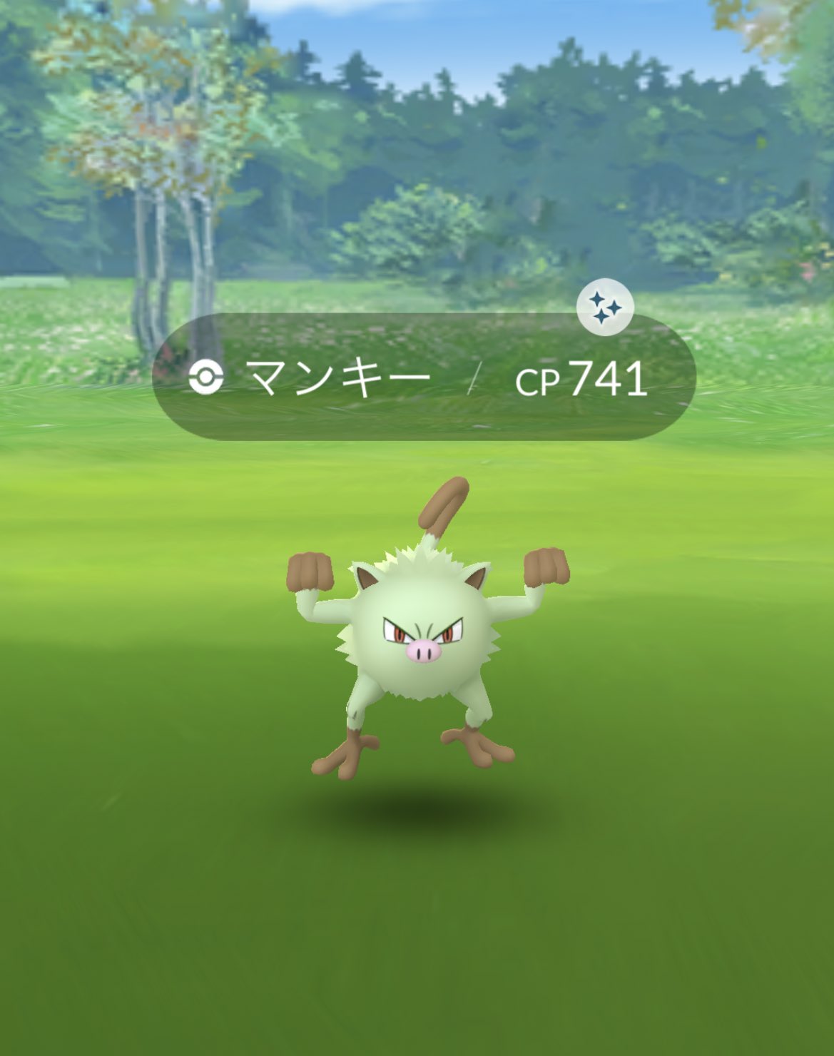Morpeko 3体目 マンキー来てくれました ポケモンgo 色違い マンキー T Co Aw3kctapbx Twitter