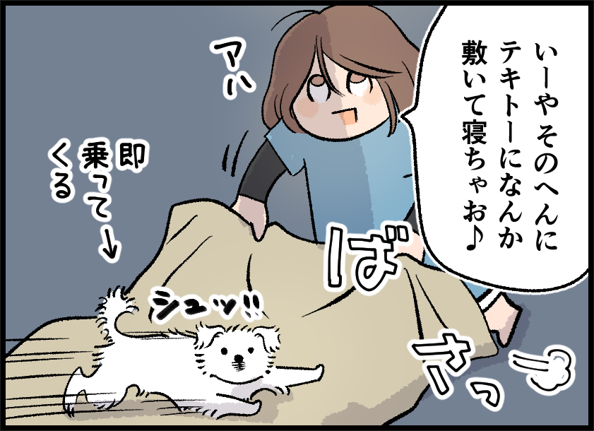 #ケッペキとずぼら 今日の試合は…
「お風呂後ベッドじゃないと寝たくない人🦦」
- VS -
「ベッド以外で寝落ちする人🐨」!!!!
ファイっ!!!!🤼💥(引き分け)

↓続きはこちら
https://t.co/h0GYqdQIab 
