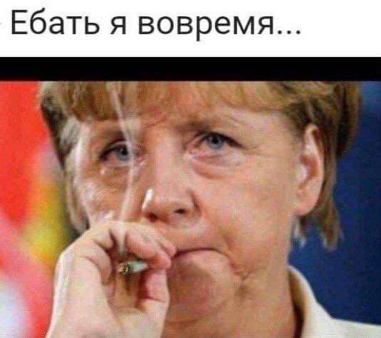 im dog and im not a coin tweet media