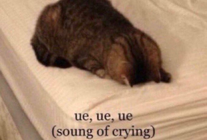 <a href="/BuildIntoGames/">BIG Games</a> fix ur bank i cant open the settings