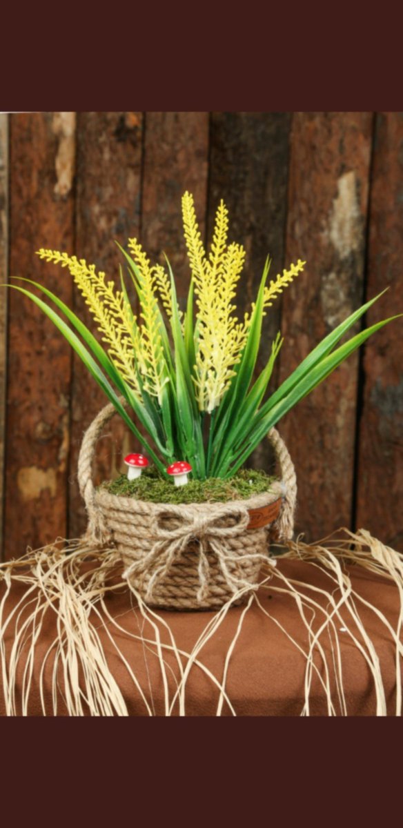 Yapay dekoratif saksılı ağaç ve çiçek 
İnstagram: instagram.com/saffticaret?ut…
#aycicekyağı #SORUMLUSUNUZ #Zampiyon #Cuma #SoygunVar #insiders #RTE #RusyaUkraynaSavası #RUSYA #ukrayna #Facebook #reynmen #cocuklarayaklasmayın #YouTube #YağFiyatları #tavuk #ETH #Ethereum #Bitcoin