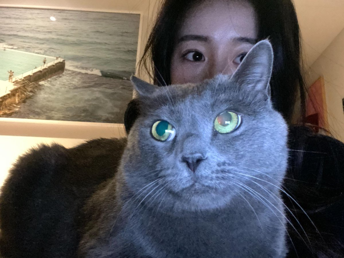 chaeyeonpc's tweet photo. https://t.co/gr16xmY23v