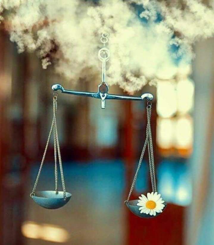 MohammadSaeed_'s tweet photo. نئی مہک کے تعاقب میں مُجھ کو بھول گیا 
وہ شخص میں نے جسے خوشبوؤں میں تولا تھا۔ https://t.co/0Xd1lpTSWi