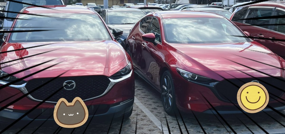 MAZDA3ありがとう
そして
よろしく
CX-30
