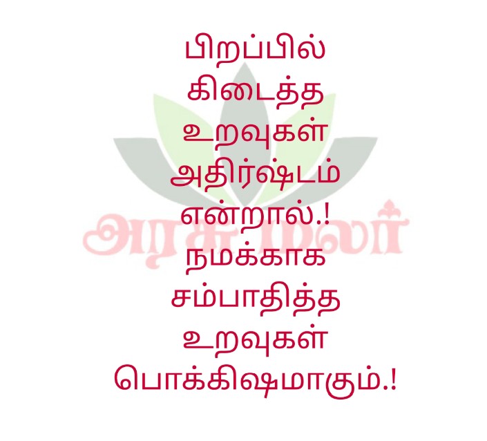 ArasuMalar5's tweet image. பிறப்பில் கிடைத்த உறவுகள் அதிர்ஷ்டம் என்றால்

 நமக்காக சம்பாதித்த உறவுகள் பொக்கிஷமாகும்