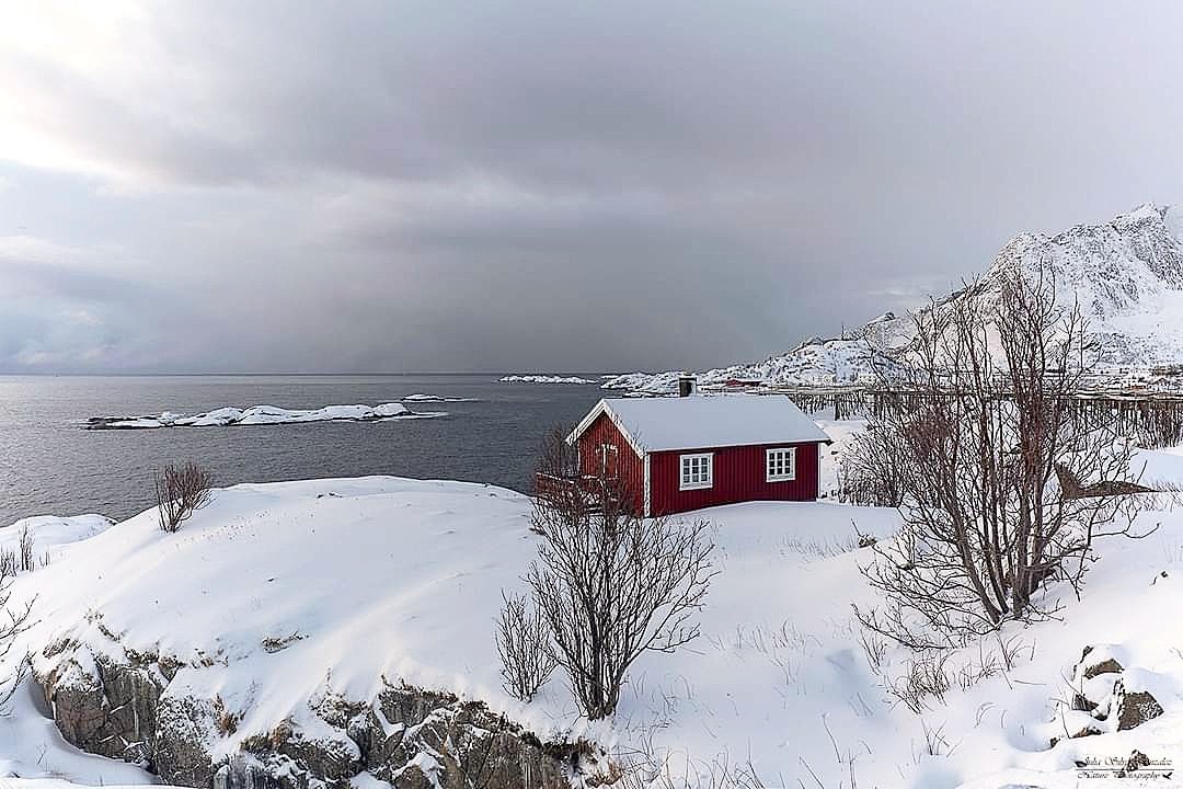 Chijuchili's tweet photo. Isla Lofoten. https://t.co/YMn3lJHvdW