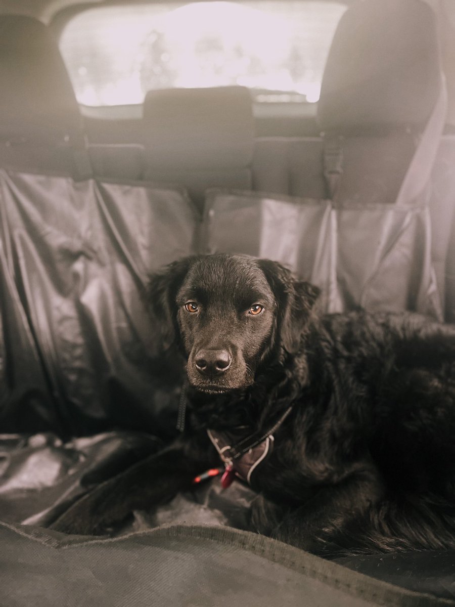 schygoers's tweet image. the cutest baby ever?!?!